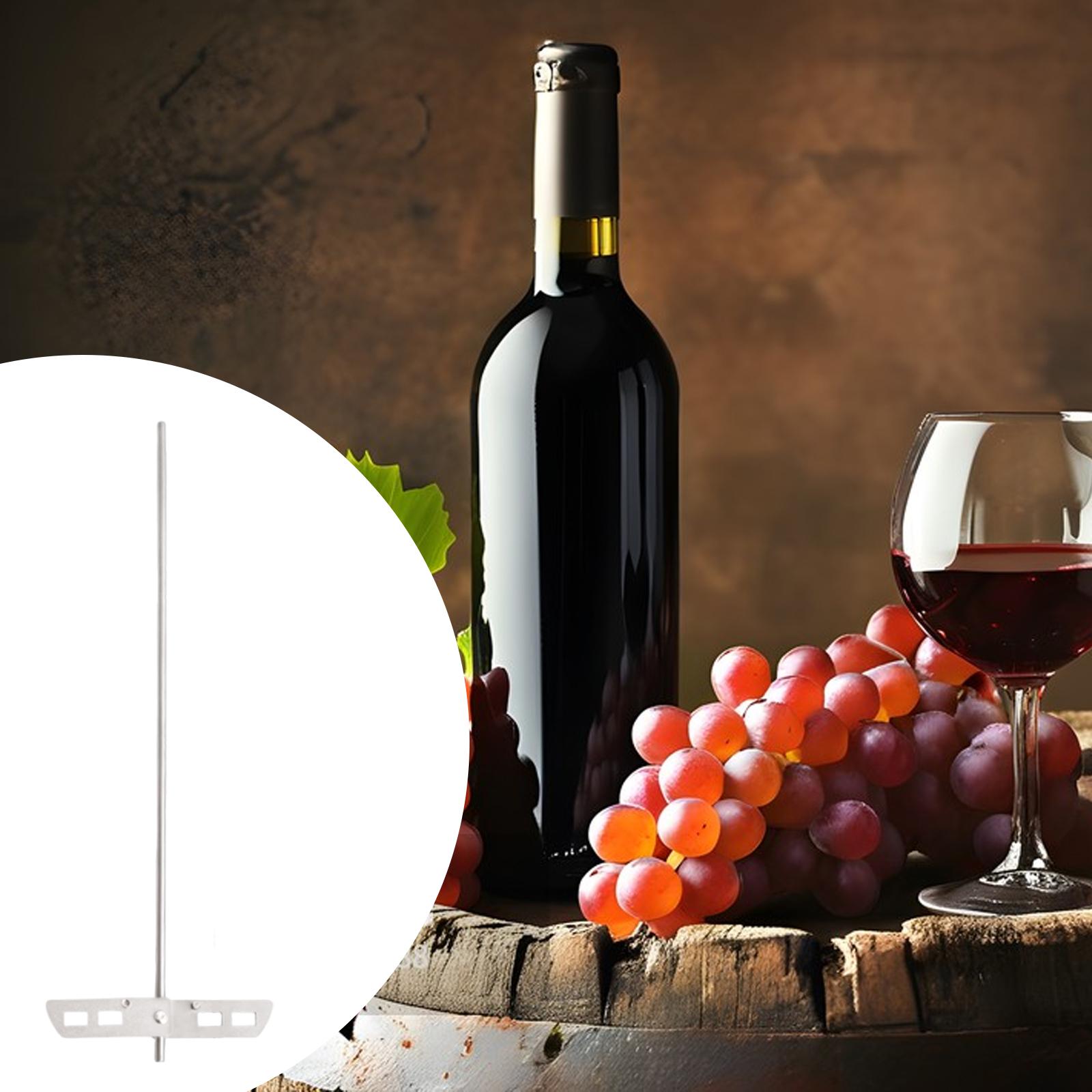 Rührstab aus Edelstahl für Cra – Wine To Beer Bewertung und Preis